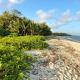 Tiwi Tatu, Tiwi - 写真 2