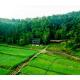 Vayal Veedu - Luxury Farm Villas by the woods, Muthanga - Φωτογραφία 10