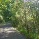 Above the River Karapiro Bed & Breakfast, Karapiro (fotografie 3)