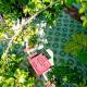Xanh Lá Homestay Hội An, Hoi An - Foto 1