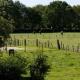 B&B de Ster van Dwingeloo, Dwingeloo (fotografie 7)