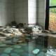 Ichigekan / Vacation STAY 8476, Nakanojo (zdjęcie 2)
