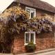 Wisteria Cottage, Gravesend (zdjęcie 6)