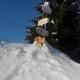 Pension Arnika, Modrava (foto 7)
