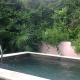 Chez Dolores, Le Bois de Nèfles - Foto 3