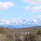 Grysbok Self Catering Accommodation, Oudtshoorn (foto 2)