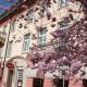 Hotel Schwert, Rastatt - Fotografie 10