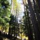 Chalet Le Trient, Trient (foto 9)