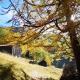 Chalet Le Trient, Trient (foto 8)