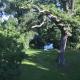 Gartenzimmer im Schloss Neuhausen, Neuhausen - Photo 10