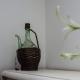 Apartment Dubovac, Karlovac (photo 6)
