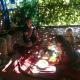 Jungleparadiso Hostel, Thekkady - Photo 5