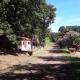 Montecaminetto, Sacrofano (photo 5)