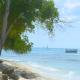Coral Lane Beach Apartments, Saint James - Foto 6