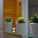 Apartamento Yeray, Los Llanos de Aridane (fotografie 10)
