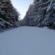 Pöhl am Nationalpark Eifel, Schleiden - Foto 1