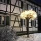 Sonnige Fachwerkwohnung, Alfter - Photo 4