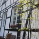 Bürgerhaus Langenberg, Velbert - Foto 5