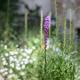 Fragrant Garden Apartment, Lisbon - Photo 7