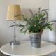 Eskdaill Place Apartment, Kettering (Foto 4)