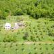 Kljajevica Orchard, Pljevlja (foto 4)