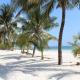 Golden Beach Resort A051, Diani Beach (foto 3)