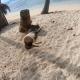 Play to Live San Blas, El Porvenir - 写真 2