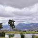 Rockhaven Farm, Porterville (fotografie 6)