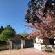 West End Lodge, Esher (fotografie 5)