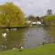 West End Lodge, Esher (fotografie 7)