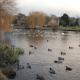 West End Lodge, Esher (fotografie 8)