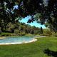 Villa Petrognano by PosarelliVillas, SantʼAppiano (fotografie 9)