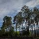 xisto camping, Janeiro de Baixo (fotografie 10)