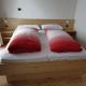 Residence Alpenblick, Vals (Foto 5)