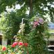 Herrenhof, Worms - Foto 8