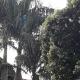 Hostel DS, Campo Grande - Fotografie 2
