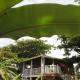 Treehouse Apartment at La Lodge at Long Bay, Corn Island - Foto 2