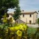 LaPorcilaia