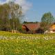 Ferienhof Am Holderbusch, Füssen - Photo 4