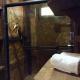 Hidden Paradise Lodge, Drake (fotografie 10)
