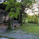 Rose Canine B&B