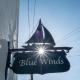 Blue Winds and Waves Cowes - Fotografie 9