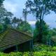 The Tall Trees, Munnar - Photo 4
