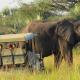 Tembe Elephant Park Lodge