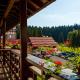 Ana Hotels Sport Poiana Brasov, ポイアナ・ブラショフ - 写真 8
