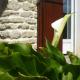 Gîte La Cibulle, Maillé (foto 5)