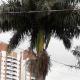 Hostel DS, Campo Grande - Fotografie 7