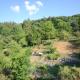 Pension Burk, Bad Endbach - 写真 9