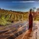 Papillon Cellars - The Loft, Mariposa (photo 2)