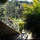 Villa Violeta, Petrópolis - Fotografie 10